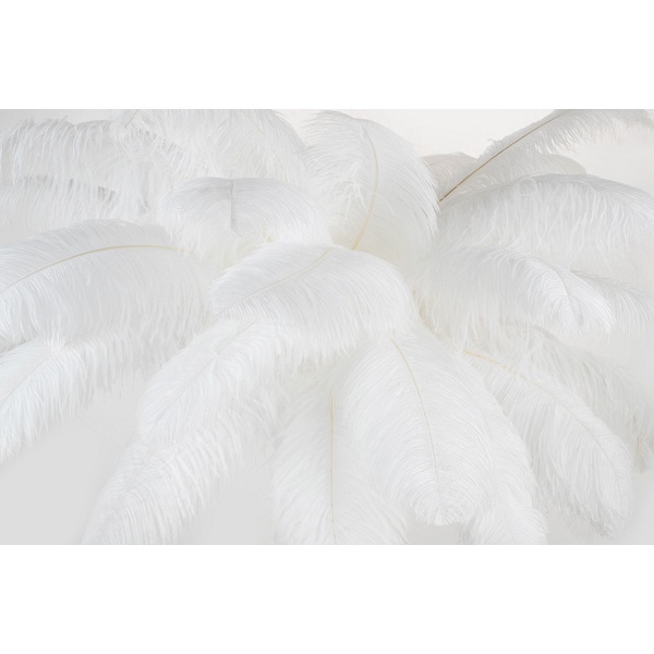 Lampa podłogowa TIFFANY 175 biała mosiądz / naturalne pióra - Moosee