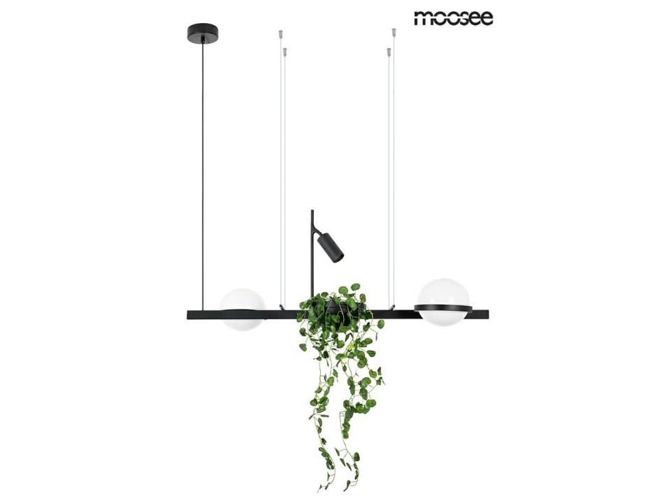 MOOSEE lampa wisząca PLANT czarna - Moosee