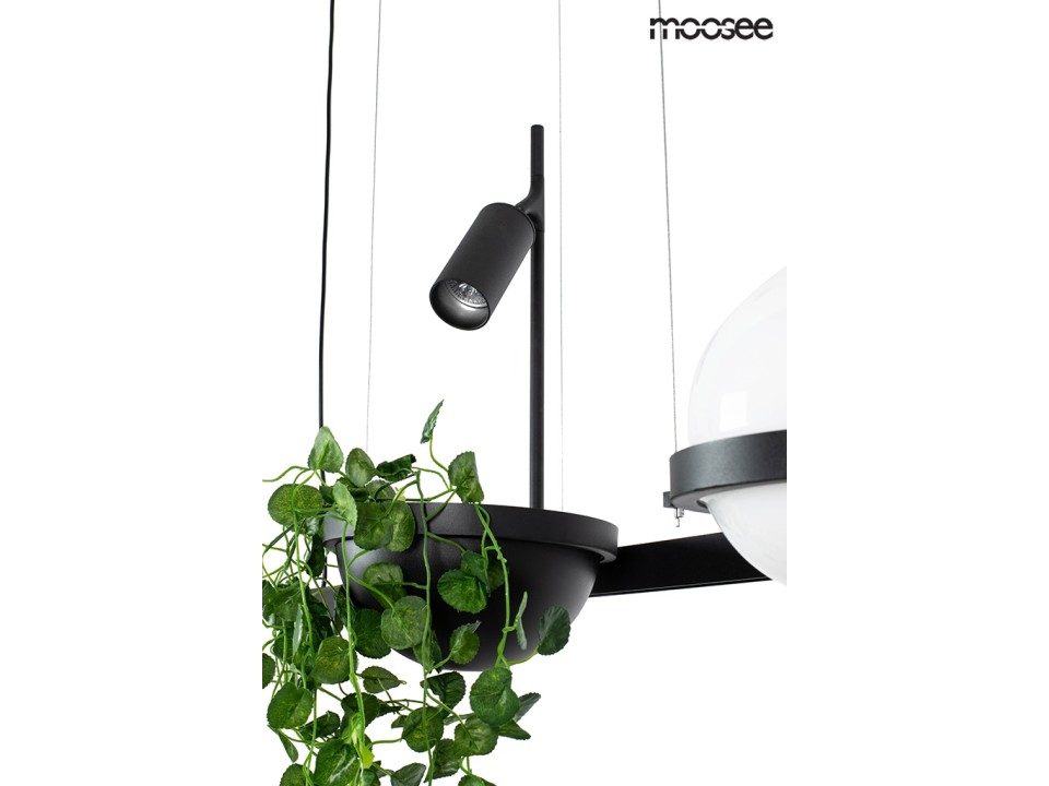 MOOSEE lampa wisząca PLANT czarna - Moosee