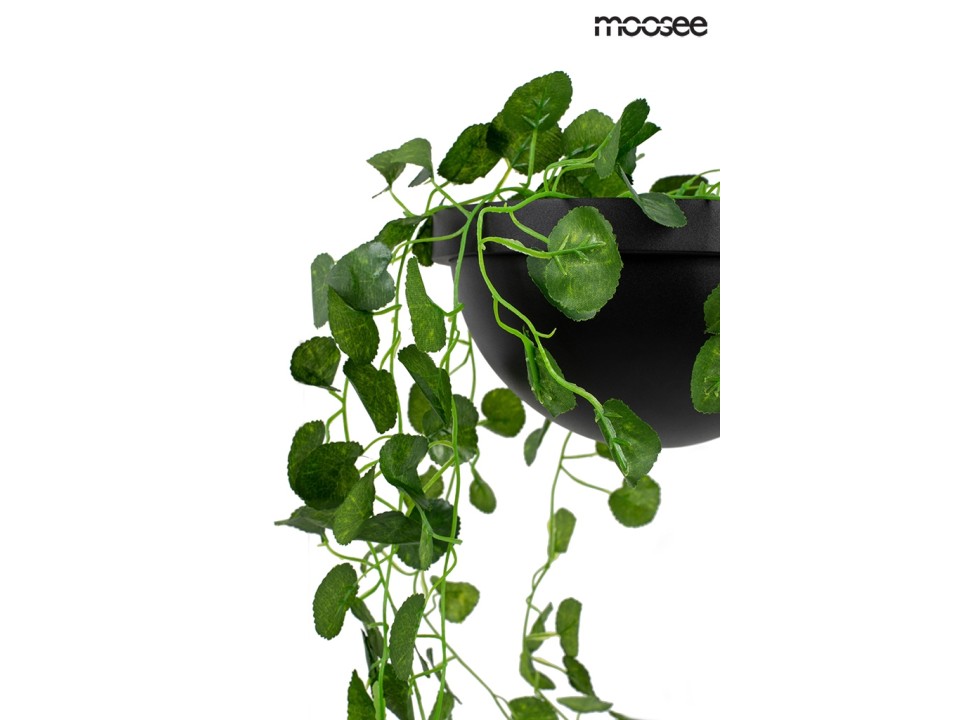 MOOSEE lampa ścienna PLANT WALL czarna - Moosee