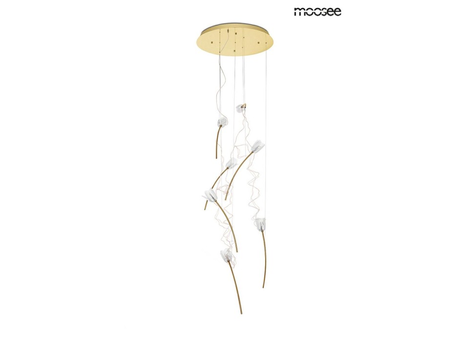 MOOSEE lampa wisząca TULIPPE 7 DISC złota - Moosee