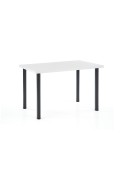 Stół MODEX 2 120 kolor blat - biały, nogi - czarny - Halmar