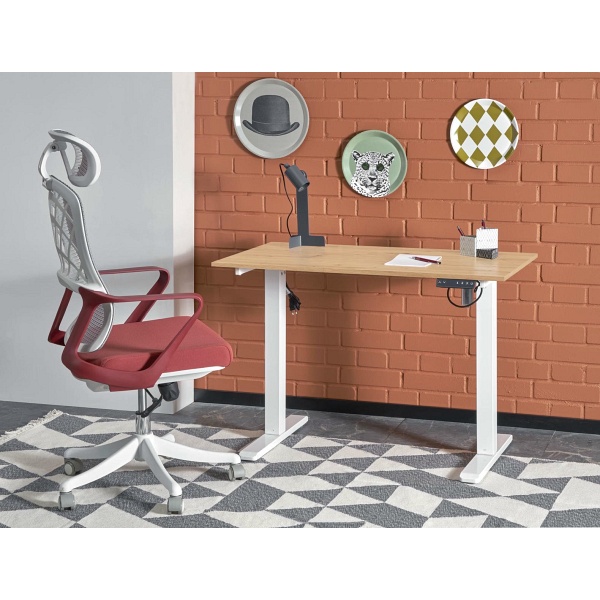 Biurko B53 z funkcją regulacji wysokości, dąb artisan / biały - Halmar