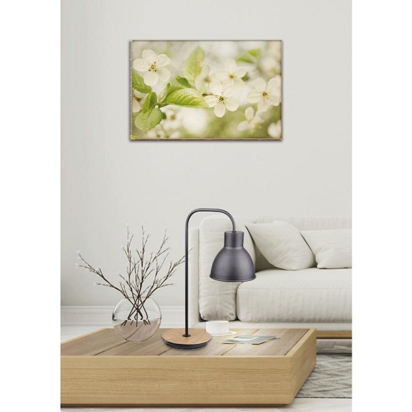 Vario Lampka Gabinetowa 1X60W E27 Czarny Candellux