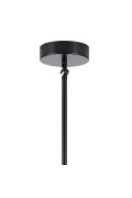 Lampa wisząca MODERN ORCHID-6 transparentno czarna 130 cm Step Into Design