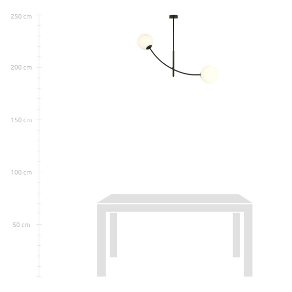 Lampa sufitowa HUNTER 2 BLACK/OPAL