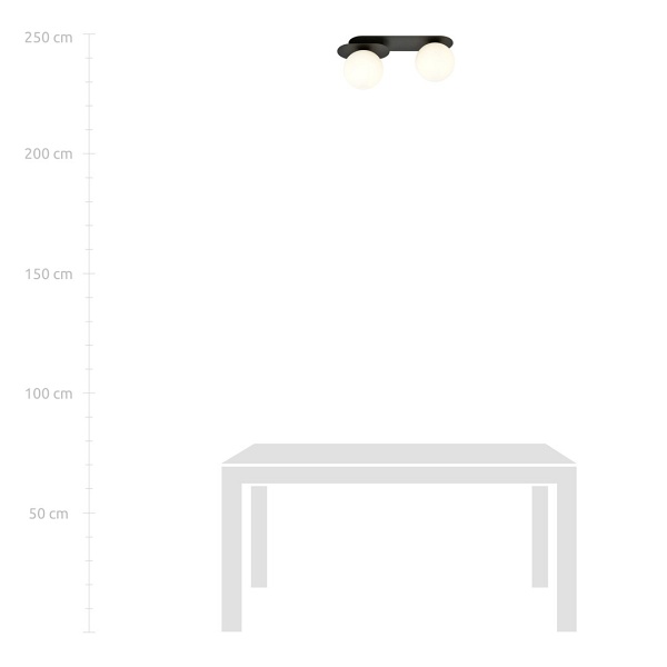 Lampa sufitowa PLAZA 2 BLACK/OPAL