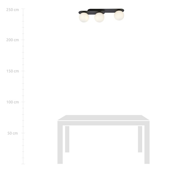 Lampa sufitowa PLAZA 3 BLACK/OPAL