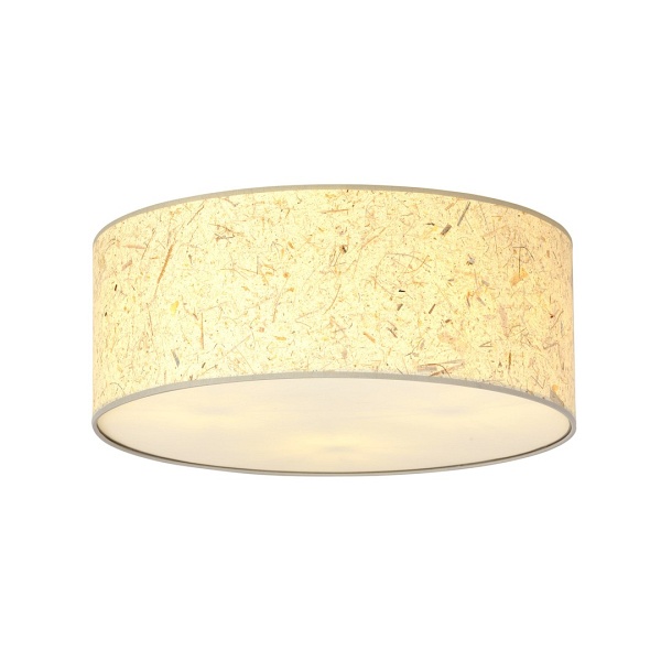 Lampa sufitowa ASTON 3 CORK