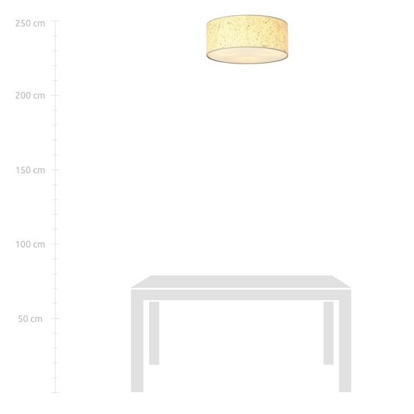 Lampa sufitowa ASTON 3 CORK