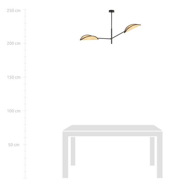 Lampa sufitowa VENE 2 BLACK/RATTAN