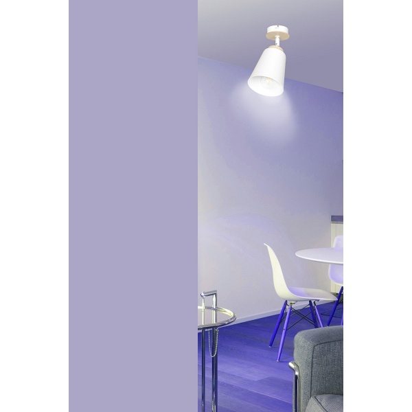 Lampa sufitowa ATLAS 1 WHITE