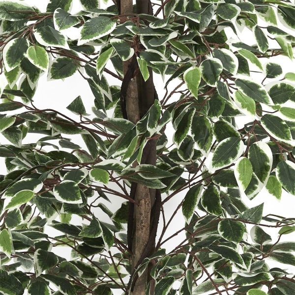 Sztuczna roślina Benjamin 170 cm - Intesi