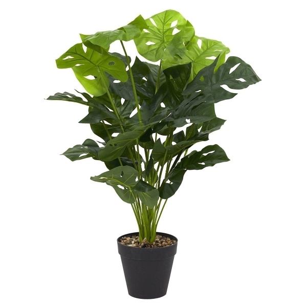 Kwiat sztuczna Monstera 80 cm - Intesi