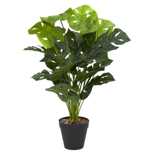 Kwiat sztuczna Monstera 80 cm - Intesi