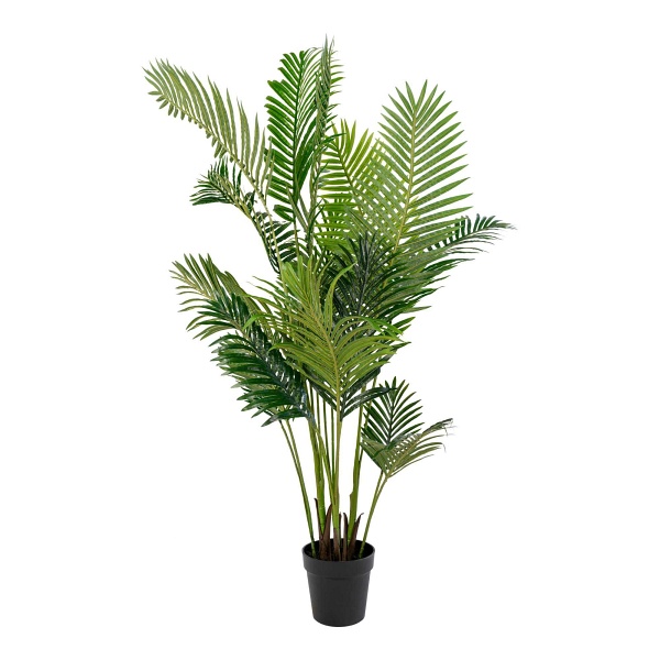 Sztuczna roślina Palma Areca 175cm - House Nordic ApS