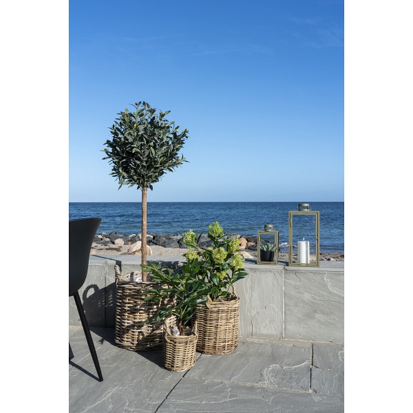 Sztuczne drzewo figowe 60cm - House Nordic ApS