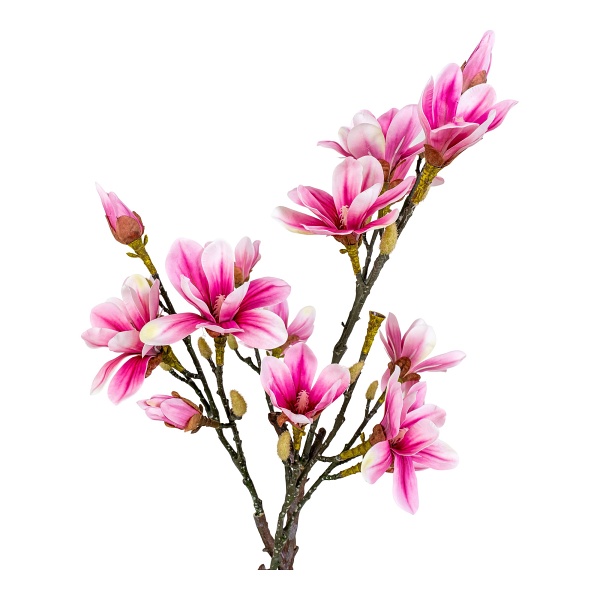 Sztuczna roślina Magnolia różowa 74cm - House Nordic ApS