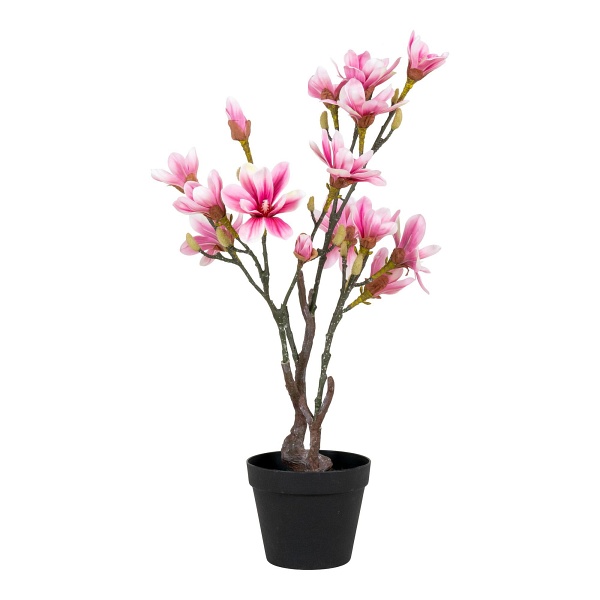 Sztuczna roślina Magnolia różowa 74cm - House Nordic ApS