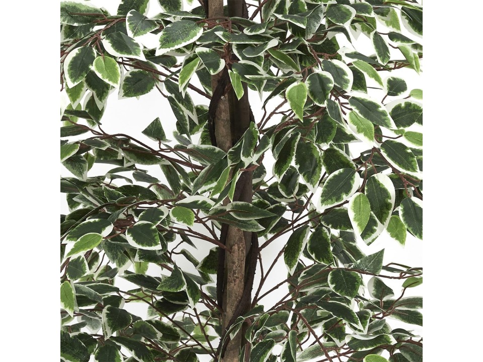 Sztuczna roślina Benjamin 170 cm - Intesi