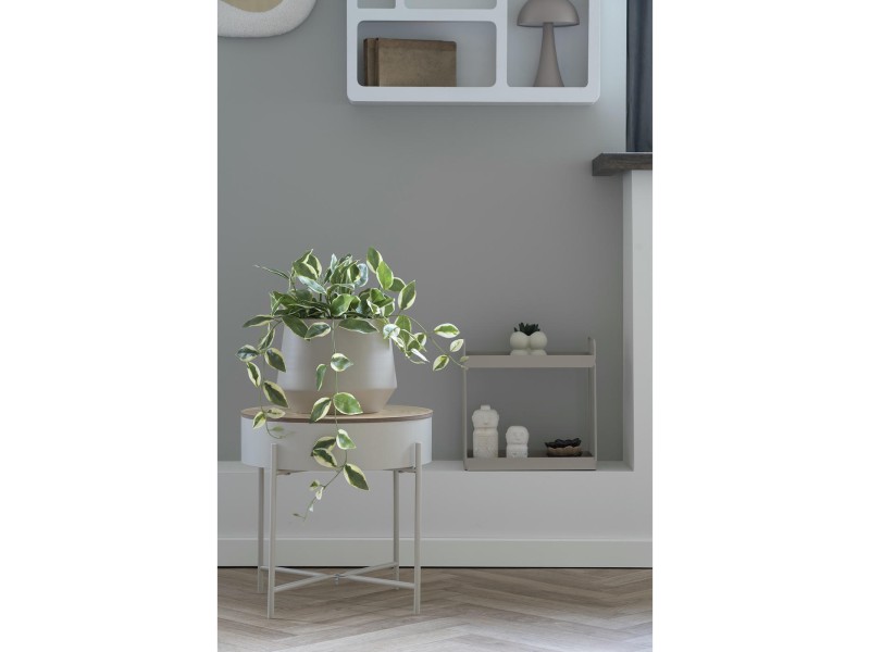 Sztuczna roślina Hoya 33 cm - House Nordic ApS