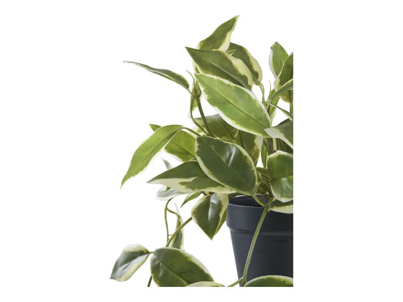 Sztuczna roślina Hoya 33 cm - House Nordic ApS