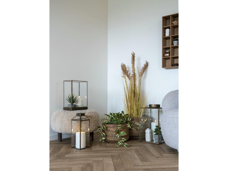 Sztuczna roślina Hoya 33 cm - House Nordic ApS