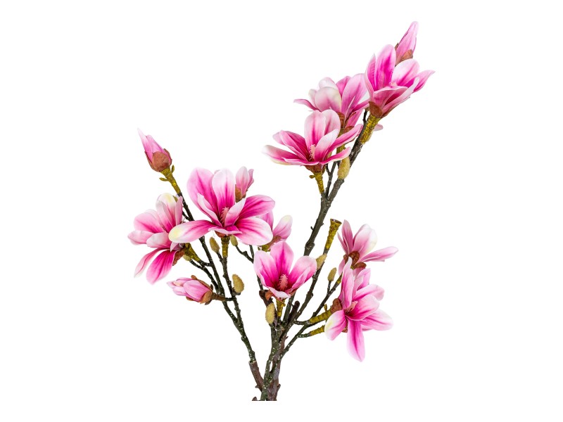 Sztuczna roślina Magnolia różowa 74cm - House Nordic ApS