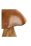 Dekoracja ogrodowa Mushrooms House Nordic komplet z drewna tekowego naturalny ( Rozmiar: uniwersalny )