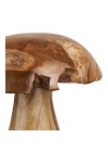 Dekoracja ogrodowa Mushrooms House Nordic komplet z drewna tekowego naturalny ( Rozmiar: uniwersalny )