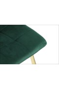 Krzesło do salonu i jadalni CN-6004 zielony stelaż złoty Stema