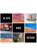 Solar obraz 100x100 Blackbird Design