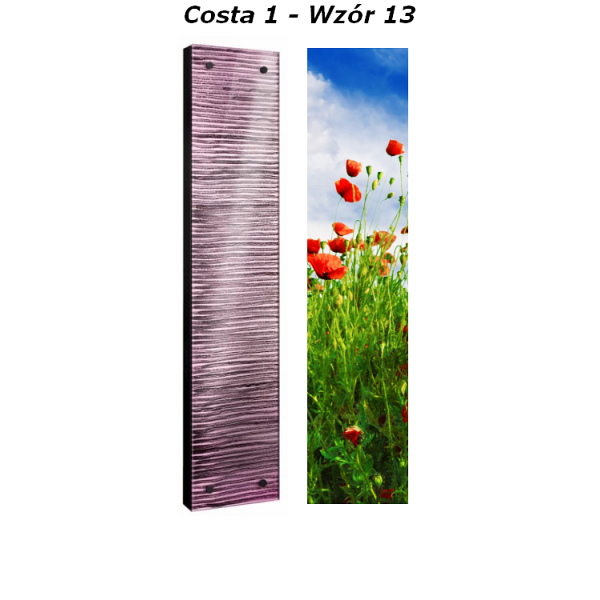 Grzejnik Costa Radeco