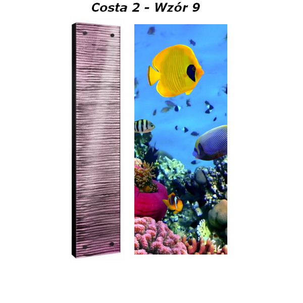 Grzejnik Costa Radeco