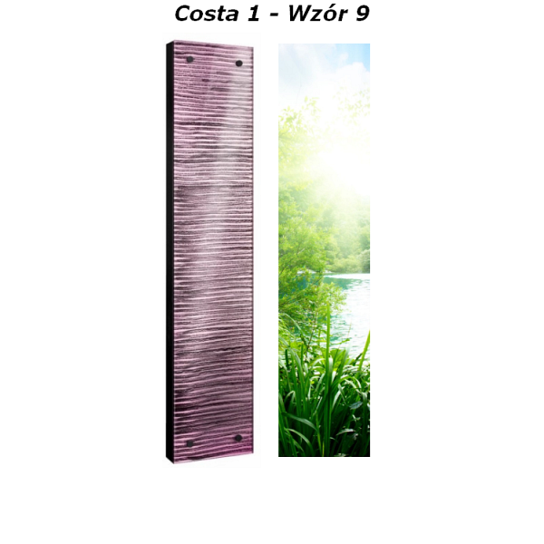 Grzejnik Costa Radeco