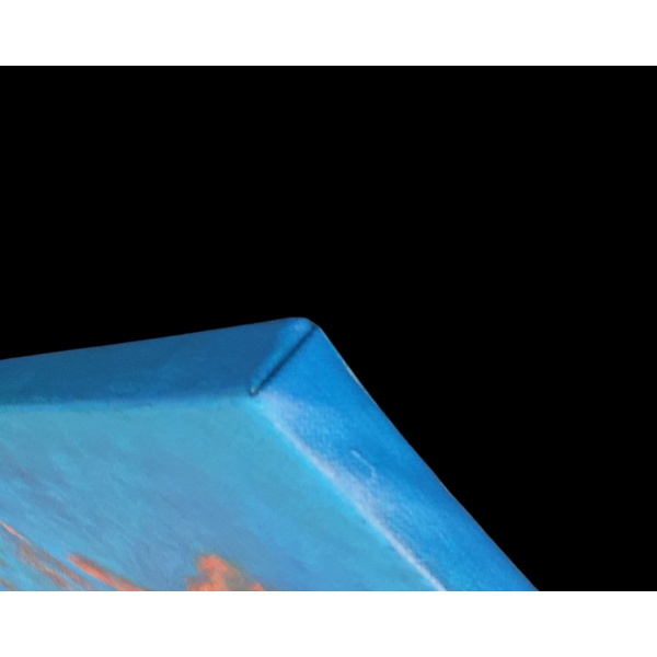 Solar obraz 100x100 Blackbird Design