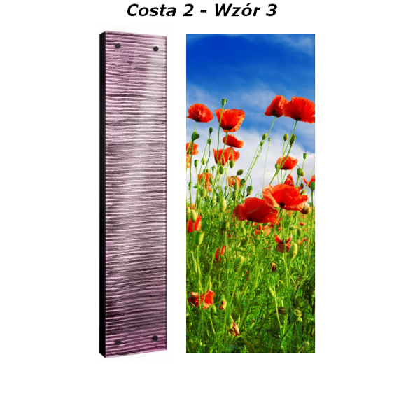 Grzejnik Costa Radeco