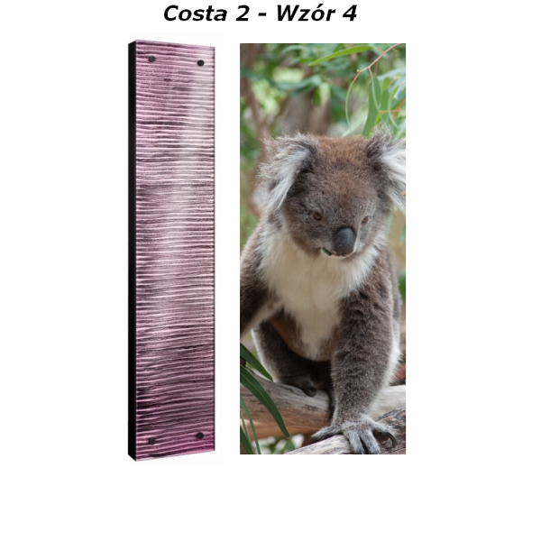 Grzejnik Costa Radeco