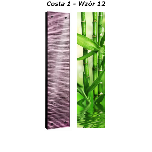 Grzejnik Costa Radeco