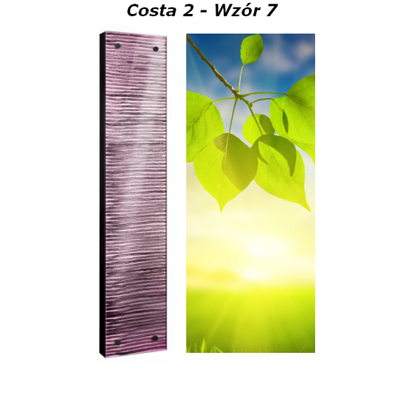 Grzejnik Costa Radeco