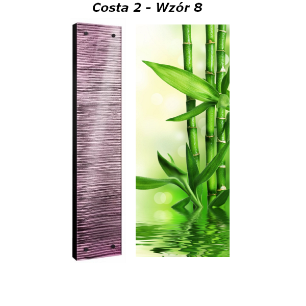 Grzejnik Costa Radeco