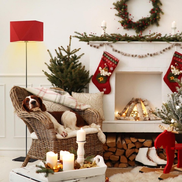 Lampa stojąca podłogowa ANKARA  Lysne