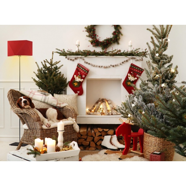 Lampa Nowoczesna  podłogowa ANKARA  Lysne