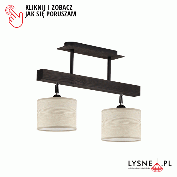 Lampa przysufitowa EPIR ECO  Lysne