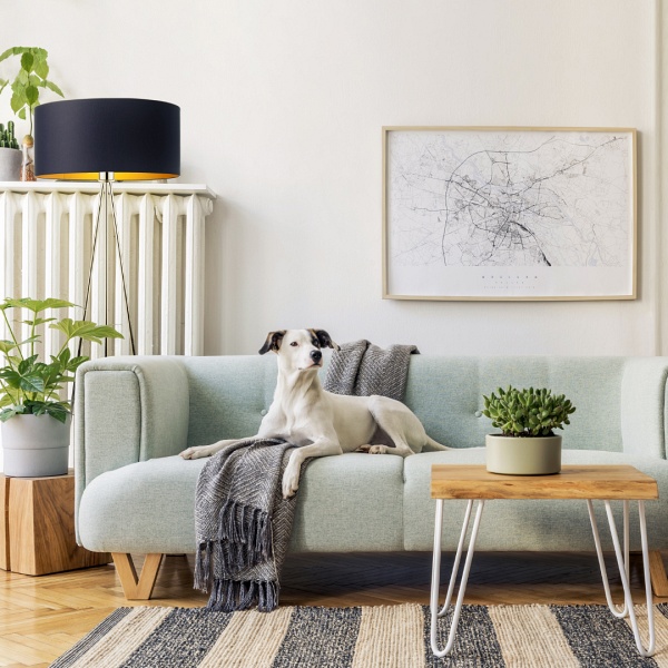 Lampa salonowa SEWILLA GOLD  Lysne