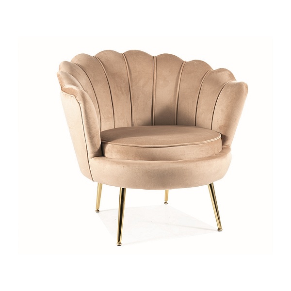 Fotel CAMELLIA 1 velvet beżowy bluvel 28/złoty - Signal