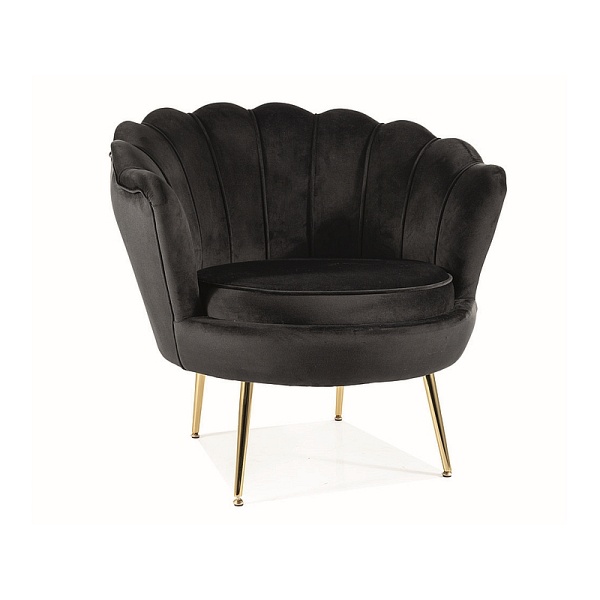 Fotel CAMELLIA 1 velvet czarny bluvel 19/złoty - Signal