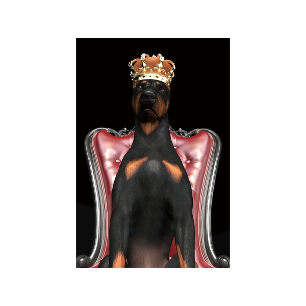 Obraz DOG in crown 80x120 - Signal
