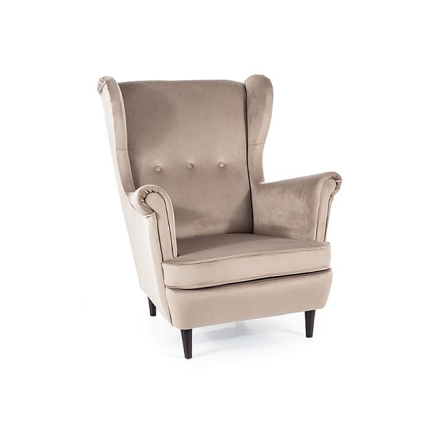 Fotel LORD velvet c. beż bluvel 40 / wenge - Signal