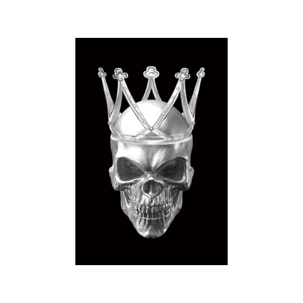 Obraz SKULL ii 80x120 - Signal